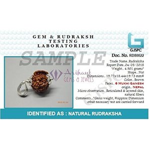 Colgante de Rudraksha de Cuatro Caras 100% Original Certificado de Nepal, Gemas Ganesh JI Arihant, Chapado en Oro de 18K, Colgante de Plata de 18K, 4 Caras, Regalo - Product Image 5