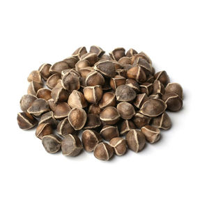 เมล็ดมะรุมแบบพรีเมี่ยมสำหรับสินค้าจำนวนมากที่มีคุณค่าทางโภชนาการสูง - Product Image 2