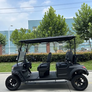 Carrito de golf de venta rápida con motor eléctrico silencioso y apariencia elegante - Product Image 6