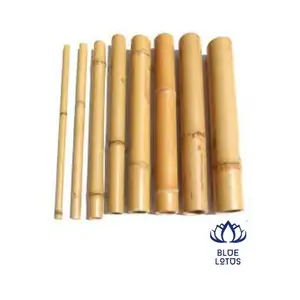 Vietnam Factory And 100% Raw Material Bamboo Pole With Customized Size New Fresh Dried Durable Ecofriendly Enviroment