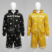 Conjunto de sudaderas con capucha y pantalones cortos con cremallera Logotipo personalizado Traje de sudor de dos piezas Todo sobre Puff Impresión Chándal Sudaderas con capucha y pantalones cortos Conjunto Hombres