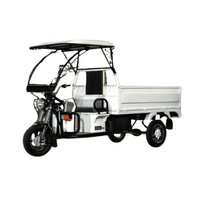 Mototaxi Eléctrico de Alta Eficiencia para Pasajeros, Motor de 48V 1000W, Autonomía de 70-100KM, Triciclo Eléctrico Cerrado, 1 Conductor + 4 Pasajeros, 30Km/h