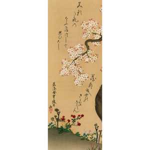 Impresión artística de naturaleza muerta con flores de cerezo, diseño de Ogata Kenzan - Product Image 1