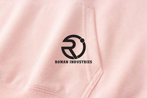 Pull à capuche pour hommes 300gsm haute qualité French Terry Drop Shoulder No Strings Oversized Confortable Hot Price Sweat à capuche pour hommes - Product Image 3