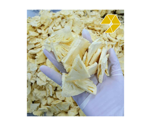 Ananas lyophilisé, tranches d'ananas de qualité supérieure pour les packs de collations, supermarché alimentaire, Vietnam, ananas lyophilisé sans sucre, croustillant - Product Image 1
