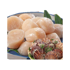 เนื้อหอยเชลล์แช่แข็ง (เกรดซาชิมิ) อาหารทะเล - Product Image 5