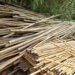 Bâton de bambou 100% naturel et flexible pour le jardin/ Support de plante en bambou Fabriqué au Vietnam - Product Image 5