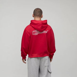 Sweat à capuche zippé lourd surdimensionné personnalisé surdimensionné 100% coton Sweat-shirt longue longueur sérigraphie Design arrière - Product Image 1