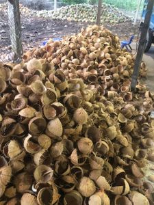 กะลามะพร้าวคุณภาพระดับพรีเมี่ยมจากเวียดนามสำหรับทำถ่านและของตกแต่ง - Product Image 2