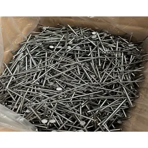 YQF steel carbon steel galvanized iron concrete 1inch 3inch 4inch 6inch nail