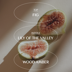 Gel de Ducha Perfumado TREECELL, Marca Coreana, 300 ml, Gel de Baño Perfumado para Adultos, Blanqueador, Hidratante, Aroma a Leche de Coco - Product Image 4