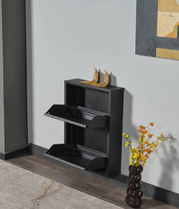 Moderno Armario para Zapatos de Acero de 2 Niveles, Montado en la Pared, Grosor de 0.6 mm, Superficie Texturizada, Dos Niveles, Fácil de Instalar, Alveon Alv-5002 - Product Image 4