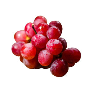 Uvas negras orgánicas cultivadas naturalmente, racimos de rico sabor, perfectos para hacer jugos, tiendas de productos agrícolas y comercio internacional. - Product Image 2