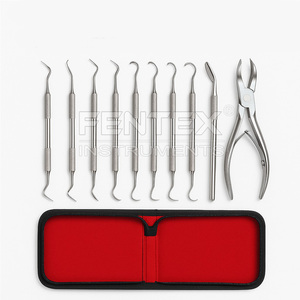 Kit d'instruments dentaires vétérinaires de haute qualité 10 pièces par Fentex Instruments chirurgicaux - Product Image 2