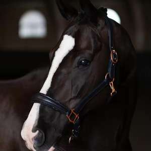 Silla de Montar Inglesa de Cuero Marrón de Alta Calidad con Herrajes de Latón y Fuelle de Madera para Caballo - Ajuste Cómodo - Product Image 2