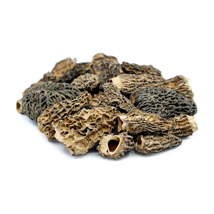 Jamur dijual Morel kering Harga jamur Morel kering