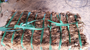 Medio orgánico y sin químicos de cáscara de coco más vendido para jardinería en contenedores-LOTO AZUL de Vietnam - Product Image 6