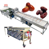 Gelgoog Automatische 500 Kg/u Dadels Sorter Wasmachine Reiniger Droge Palm Dadels Borstel Reinigingsmachines Dadels Wasmachine