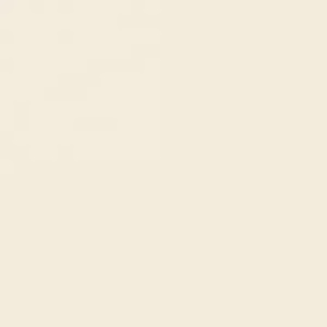 Haute Qualité 600x600mm Beige Ivoire Vitrifié Soluble Sel Porcelaine Carreaux De Sol Nano-Poli Intérieur Moderne 60x60cm 2x2 - Product Image 6