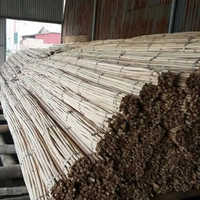 Meilleures ventes : Poteaux en rotin naturel de haute qualité, lot de 50 kg, avec âme flexible pour la fabrication de meubles, âme de canne en rotin blanc poli, 24 mm de diamètre