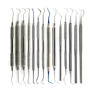 เครื่องมือทันตกรรมสำหรับนักสำรวจรากฟันเครื่องมือเสียบไม้ปลายแหลมสเตนเลสสตีล - Product Image 1