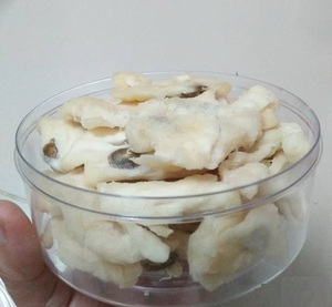 Guanábana seca suave de Vietnam, piezas tropicales masticables, venta al por mayor, exportación, cadena de suministro fuerte, ideal para compradores de gran volumen - Product Image 2