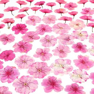 Lot de 100 <span class=keywords><strong>fleurs</strong></span> comestibles séchées et pressées naturelles pour décoration de gâteau, mélange de roses Sakura, <span class=keywords><strong>fleurs</strong></span> de cerisier pour décoration de cupcakes - Product Image 1