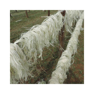 Fibre de sisal Fibre de sisal naturelle de qualité parfaite pour le tissu de sisal - Product Image 2