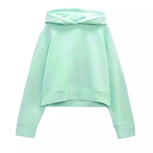 2023 nuevo diseño personalizado Unisex peso pesado francés Terry Sudadera con capucha 100% algodón recortado invierno sudaderas con capucha de gran tamaño corto impreso para hombres - Product Image 2