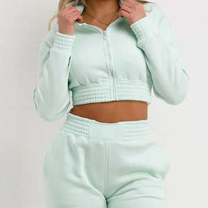 Conjunto de Dos Piezas Bordado Sólido para Mujer, Top Corto con Capucha y Pantalones Ajustados, Felpa Suave y Elástica para Uso Diario - Product Image 5