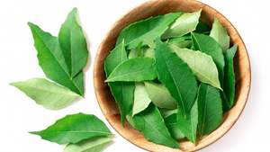 Feuilles de curry séchées en vrac au prix d'usine, arôme intense, qualité pure, meilleures offres de gros du Vietnam - Product Image 6