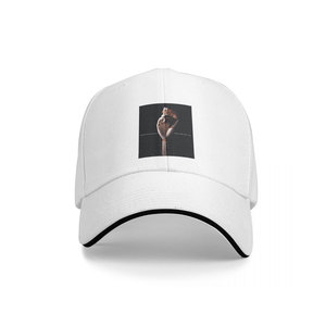 Gorras de béisbol clásicas de 6 paneles bordadas en 3D de algodón 100% de alta calidad hechas a medida con logotipo-Precio al por mayor de fábrica - Product Image 1
