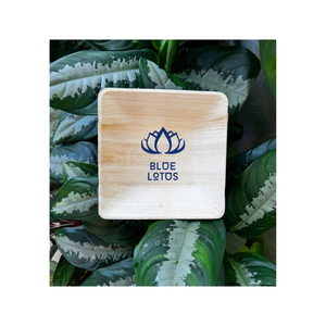 จานใบปาล์ม Areca เหมาะสำหรับเสิร์ฟอาหารที่เป็นมิตรต่อสิ่งแวดล้อมจานใบ Areca สำหรับรับประทานอาหารรูปร่างหลากหลาย - Product Image 1