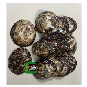 Conchas Limpet de tamaño pequeño para joyería, decoración artesanal y proyectos de bricolaje, diseño inspirado en el océano - Product Image 5