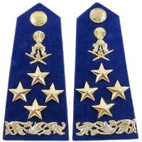 Nouvel Arrivage Badges d'épaule brodés lavables sur mesure en tissu toile brodé 3D pour uniformes de pilotes de ligne et de cérémonie