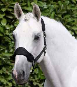 Brida para Caballo de Cuero Premium Resistente, Estilo Silla Inglesa, Arnés Ecuestre Resistente, Adecuado para Montar al Aire Libre - Product Image 2