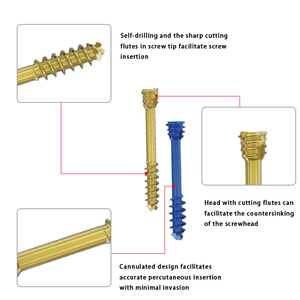 Vente flash : Vis de blocage canulée sans tête Herbert, acier inoxydable de haute qualité, implants articulaires vétérinaires pour chiens, chirurgie - Product Image 4