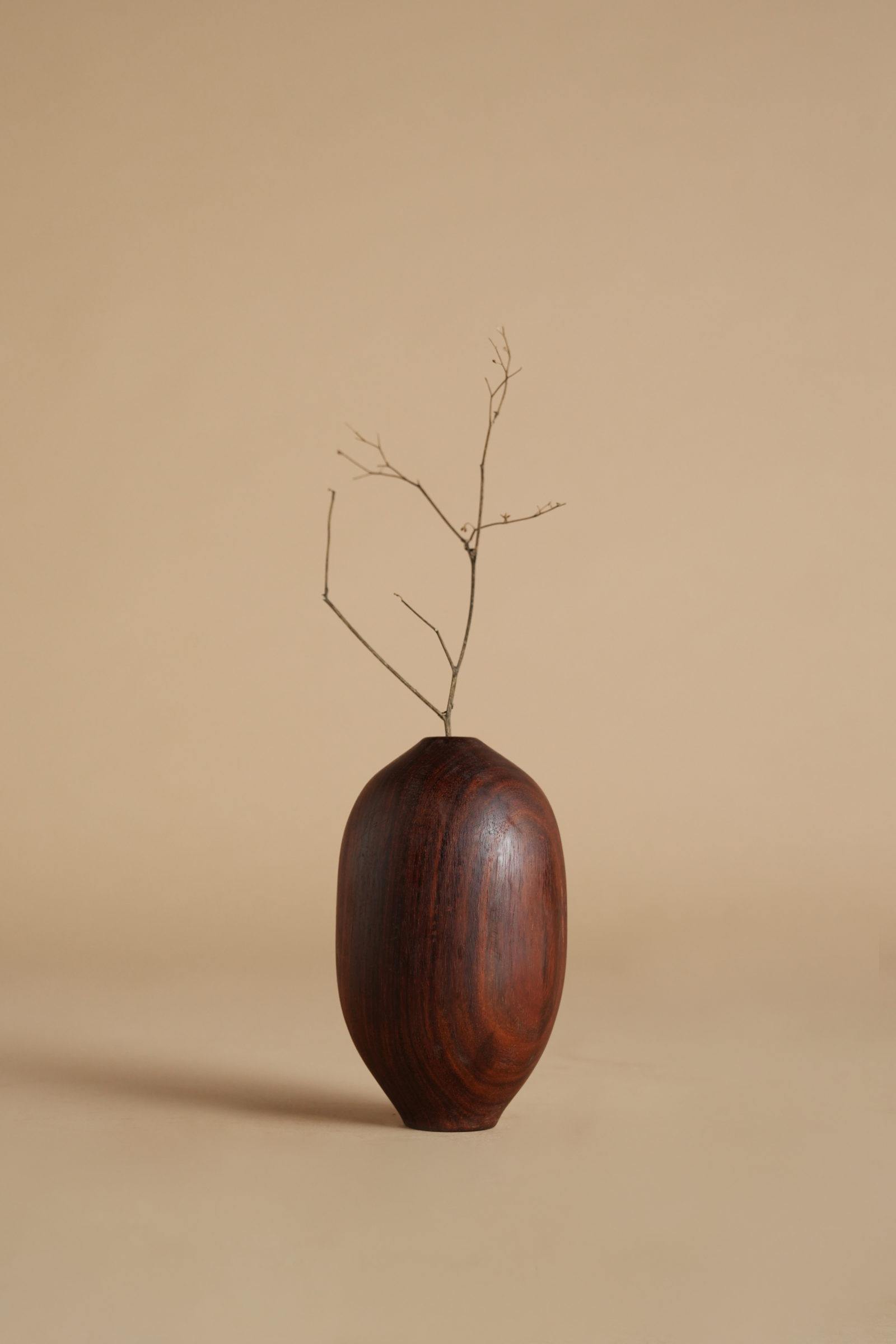 ตามที่แสดง