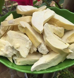 Durian lyophilisé en vrac disponible pour l'exportation, soutenu par une usine vietnamienne, avec une qualité uniforme et fiable. - Product Image 6