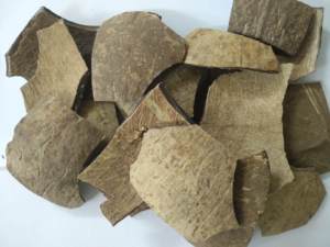 Fabricante de cáscara de coco cruda superventas, cáscara dura al por mayor para hacer carbón todo natural de Vietnam - Product Image 4