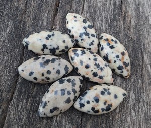 Jaspe Dálmata Natural al por Mayor, Piedras Preciosas Sueltas con Corte Marquesa Blanco Nieve, Cabujón con Fondo Plano, Joyas Shivoham, Todos los Tamaños - Product Image 6