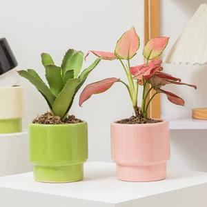 Magnifiques vases à fleurs en céramique colorée, design moderne pour décorations de mariage, présentant des arrangements floraux spectaculaires - Product Image 3