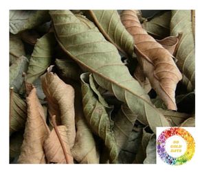 เครื่องดื่มสมุนไพรบริสุทธิ์จากใบฝรั่งตากแห้งเกรดดีที่สุดจากเวียดนามออกแบบโลโก้เพื่อสุขภาพได้ตามต้องการ - Product Image 3