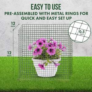 Jaulas protectoras de plantas de alambre con cubierta de alambre superior para plantas y arbustos de jardín al aire libre - Product Image 2
