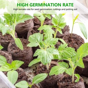 Juego de bloques para cultivo de semillas de vivero, juego de bloques para cultivo de semillas de coco, de precio competitivo - Product Image 4