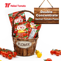 Sachet personnalisé sachet de pâte de tomate Afrique/Moyen-Orient Market Focus Sachet Tomates Conteneurs Prix