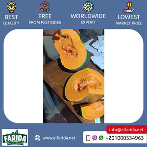 Calabaza orgánica procesada IQF, alto nutritivo, dulce, Egipto, grado premium, conservado en agua, suministro al por mayor, deliciosa fruta congelada - Product Image 2