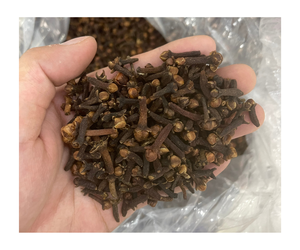 BROKEN STAR ANISEED NATUREL BON PRIX VIETNAM ANIS STAR QUALITÉ PREMIUM - Product Image 2