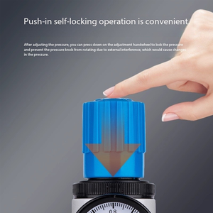 Valvola di Riduzione ad Alta Pressione, Valvola di Regolazione della Pressione, Regolatore di Pressione dell'Aria LR-D-MIDI/MINI-02-03-04, Trattamento Fonte di <span class=keywords><strong>Gas</strong></span> - Product Image 5