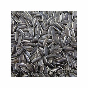 เมล็ดทานตะวัน/เมล็ดทานตะวันชนิดต่างๆ - Product Image 4